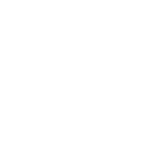 The sassy Spoon